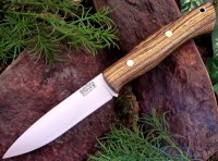 Aurora Bocote