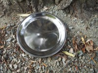 Stainless steel plate