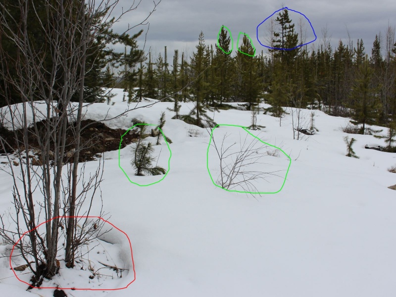 The Natural Navigator Competition photo