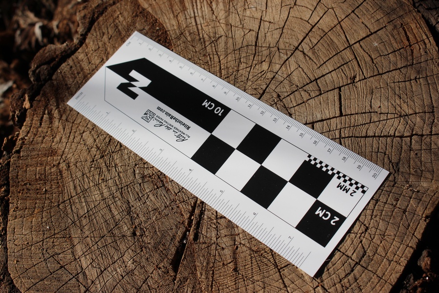North Arrow Field and Animal Track Indicator photo