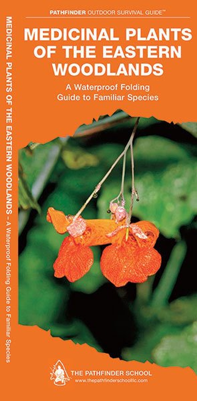 Pathfinder Outdoor Guides Medicinal Plants of the Eastern Woodlands photo