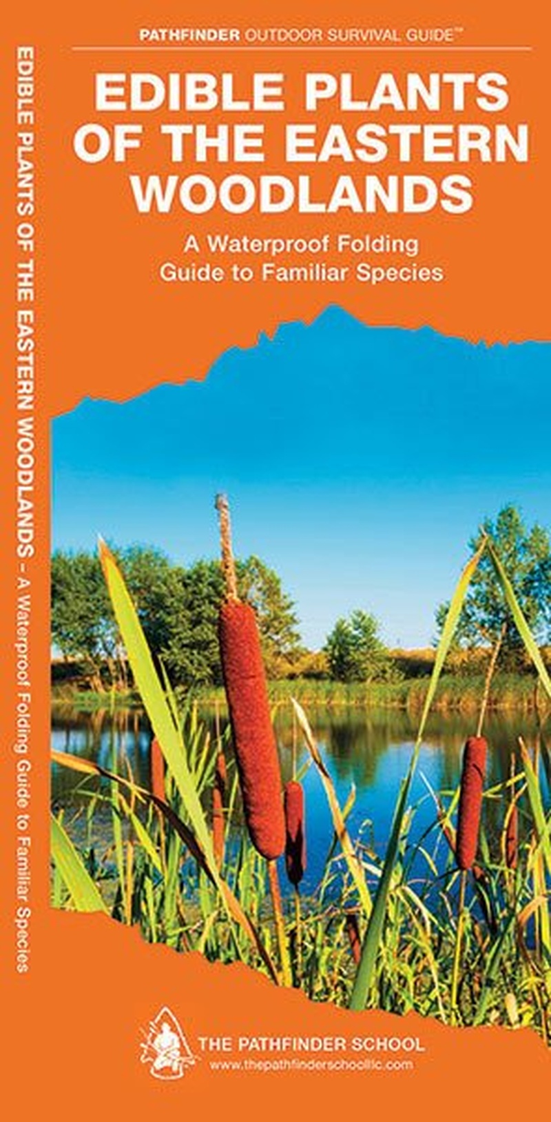 Pathfinder Outdoor Guides Edible Plants of the Eastern Woodlands photo
