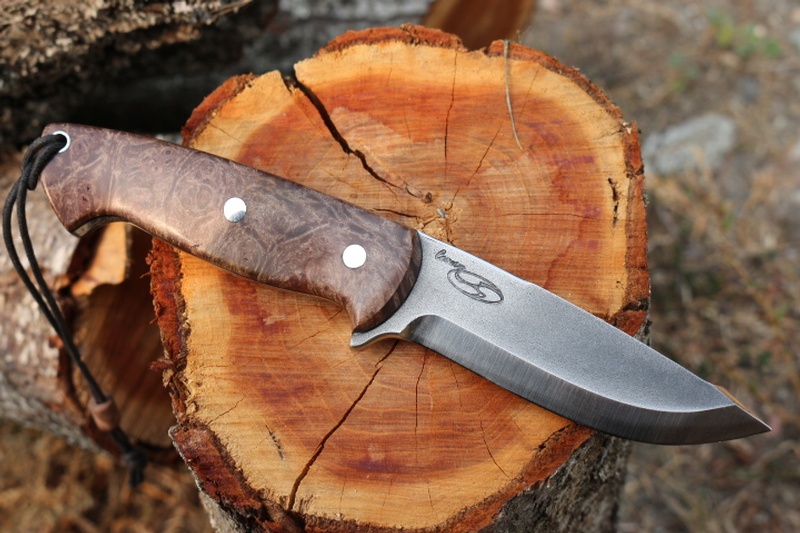 Cosmo Bushcraft 154CM in Maple Burl #2 photo