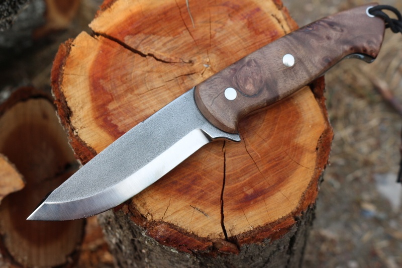 Cosmo Bushcraft 154CM in Maple Burl #4 photo
