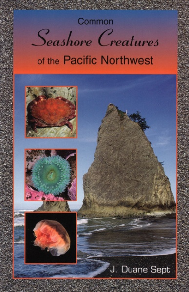 Seashore Creatures of the Pacific Northwest photo