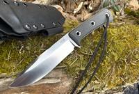 NEW TRC Apocalypse Prime #210 Photo