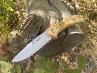 Joker Cocker Cub Curly Birch Photo